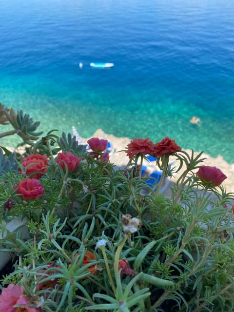 Seafront Vacation home "Tea" House in Dubrovnik-Neretva County