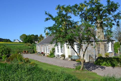 Property building, Facade/entrance, Garden, Garden view