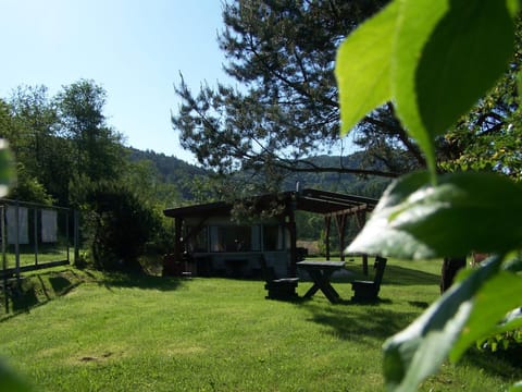 Spring, Day, Natural landscape, Garden, Garden view, Mountain view