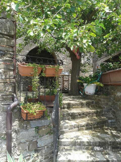 Facade/entrance, Garden