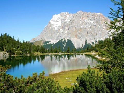 Landhaus Panorama House in Tyrol