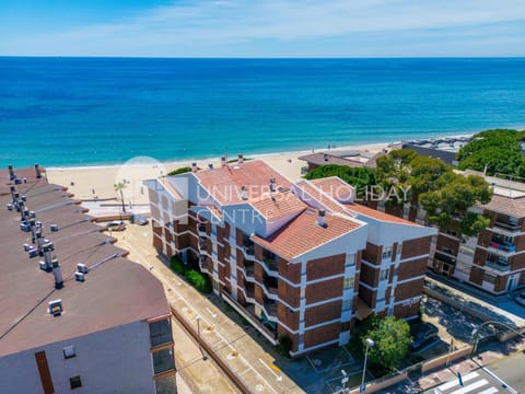 Property building, Bird's eye view