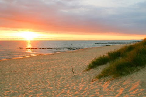 Natural landscape, Beach, Sunrise