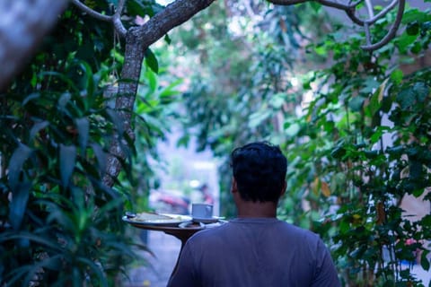 Day, Garden, Garden view