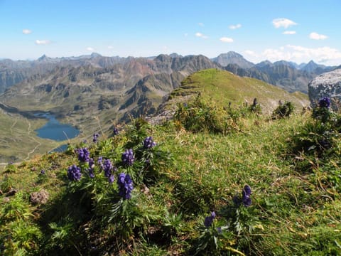 Premium Wanderhotel Steirerhof Hotel in Schladming