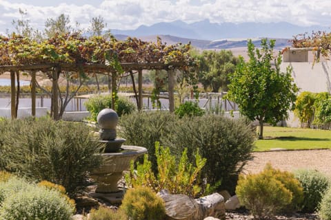 Natural landscape, Garden, Garden view