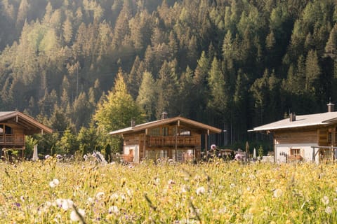 LaPosch - Dein Bergaway Campground/
RV Resort in Tyrol