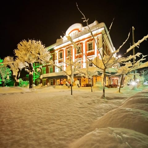Property building, Night, Winter