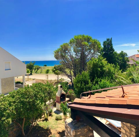 Natural landscape, Garden, Beach, Area and facilities