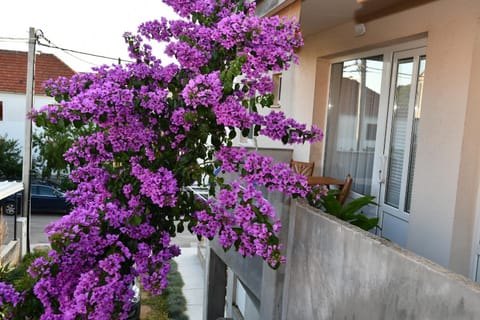 Facade/entrance, Day, Balcony/Terrace