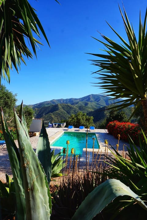 Pool view, Swimming pool, Swimming pool