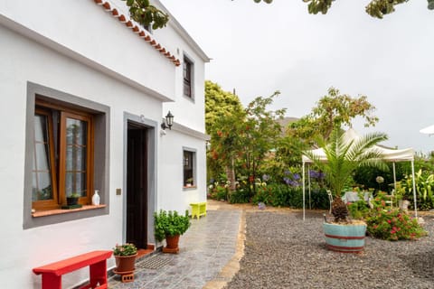 Garden, sunbed