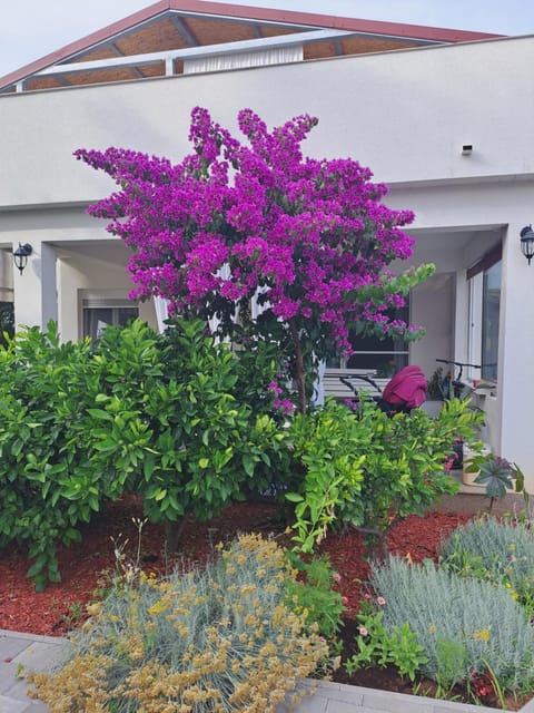 Apartment Noa's Garden Apartment in Šibenik-Knin County, Croatia