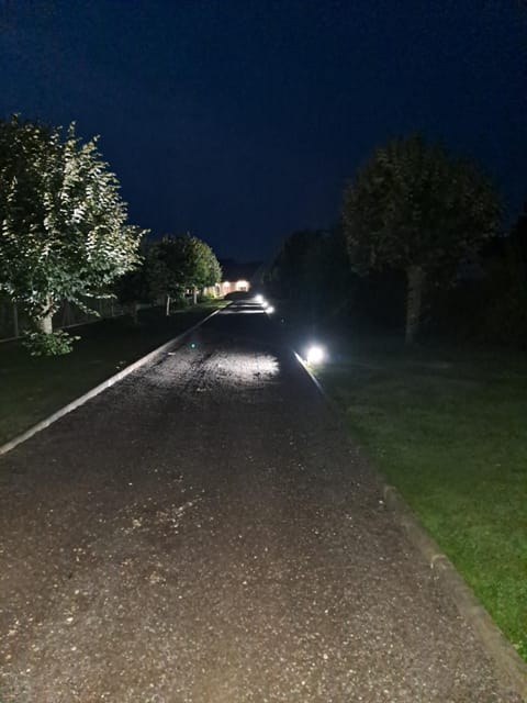 Garden, Garden view, Garden view