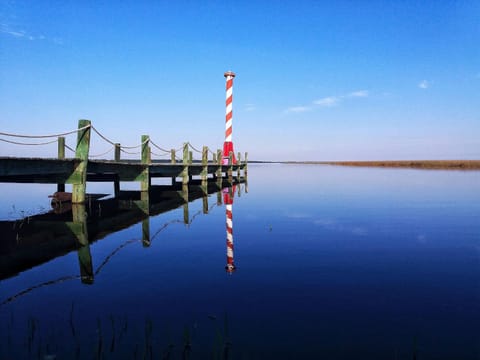 Lake view
