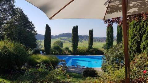 Natural landscape, Garden, Garden view, Pool view, Swimming pool