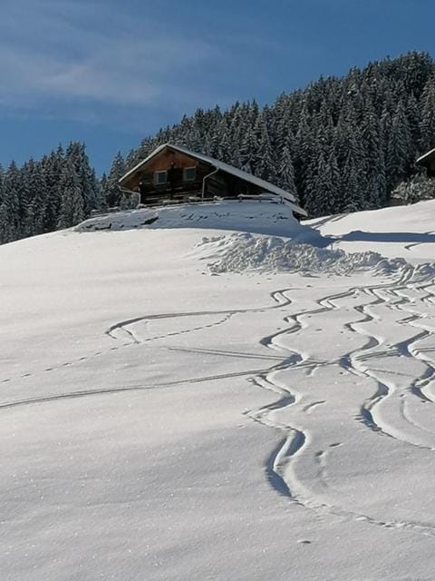 Ferienhütte Georg House in Tyrol