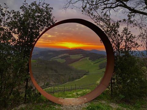 Decorative detail, Sunset