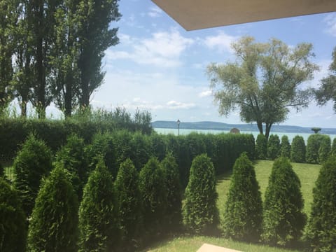 Lake view