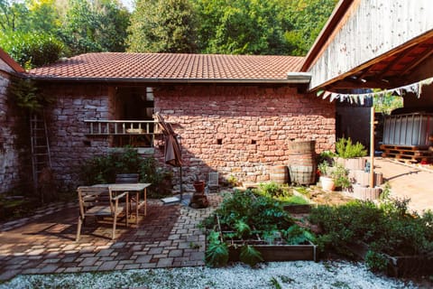Patio, Garden view