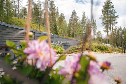 Property building, Summer