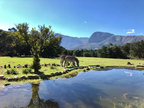 Franschhoek Country Cottages Nature lodge in Western Cape