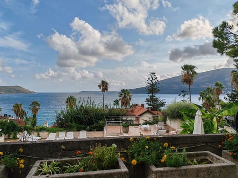 Petrovic house Apartment in Montenegro