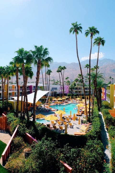 Bird's eye view, Garden, Swimming pool