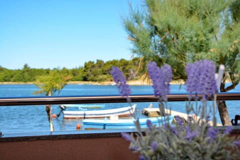 Balcony/Terrace, Balcony/Terrace