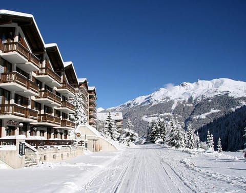 Property building, Natural landscape, Winter