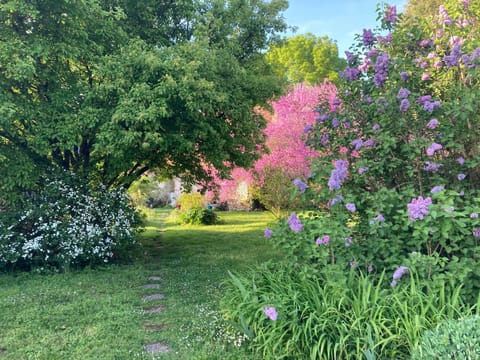 Spring, Garden, Garden view