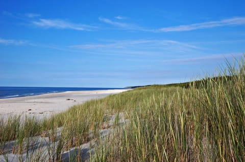 Moje Sasino - dom wakacyjny House in Pomeranian Voivodeship