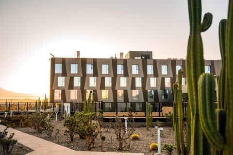 Property building, Patio, Garden