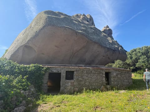 Spring, Natural landscape, Landmark view