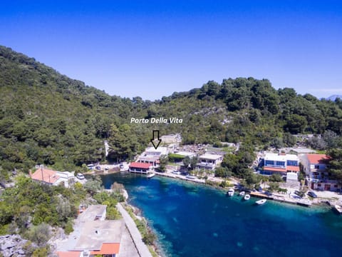 Nearby landmark, Neighbourhood, Natural landscape, Bird's eye view
