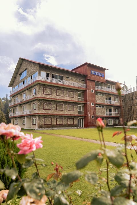 Property building, Natural landscape, Garden