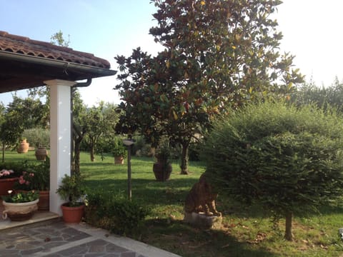 Garden view