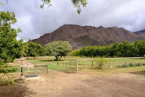 Property building, Natural landscape, Garden, On site, Garden view, Mountain view