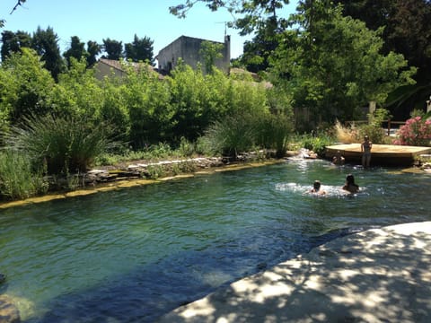 Pool view, Swimming pool