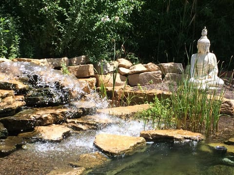 Aqua park, Swimming pool