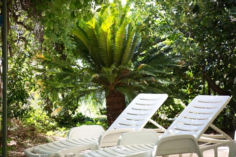 Garden, Balcony/Terrace