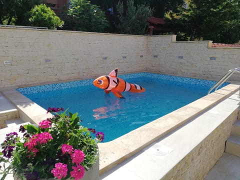 Day, People, Summer, On site, Pool view, Swimming pool