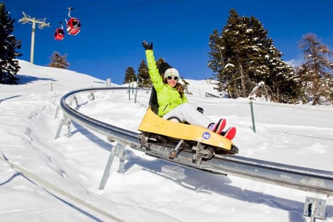 Day, People, Winter, Skiing, group of guests
