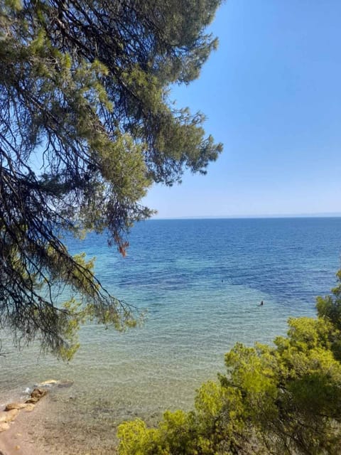 Natural landscape, Beach