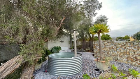 Hot Tub, Entertainment