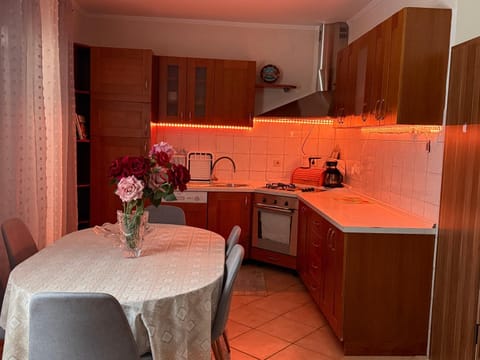 Apartment Piko Apartment in Crikvenica