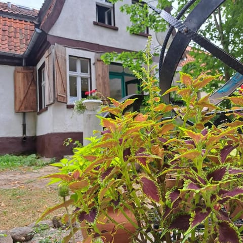Property building, Spring, Day, Garden, Garden view