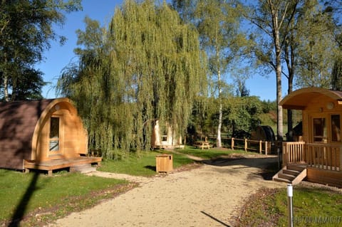Natural landscape