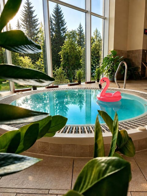 Pool view, Swimming pool