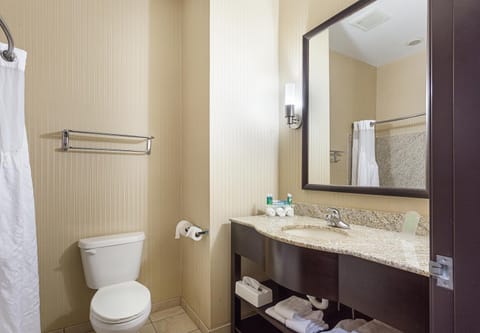 Holiday Inn Express Hotel & Suites Byram by IHG Hotel in Mississippi